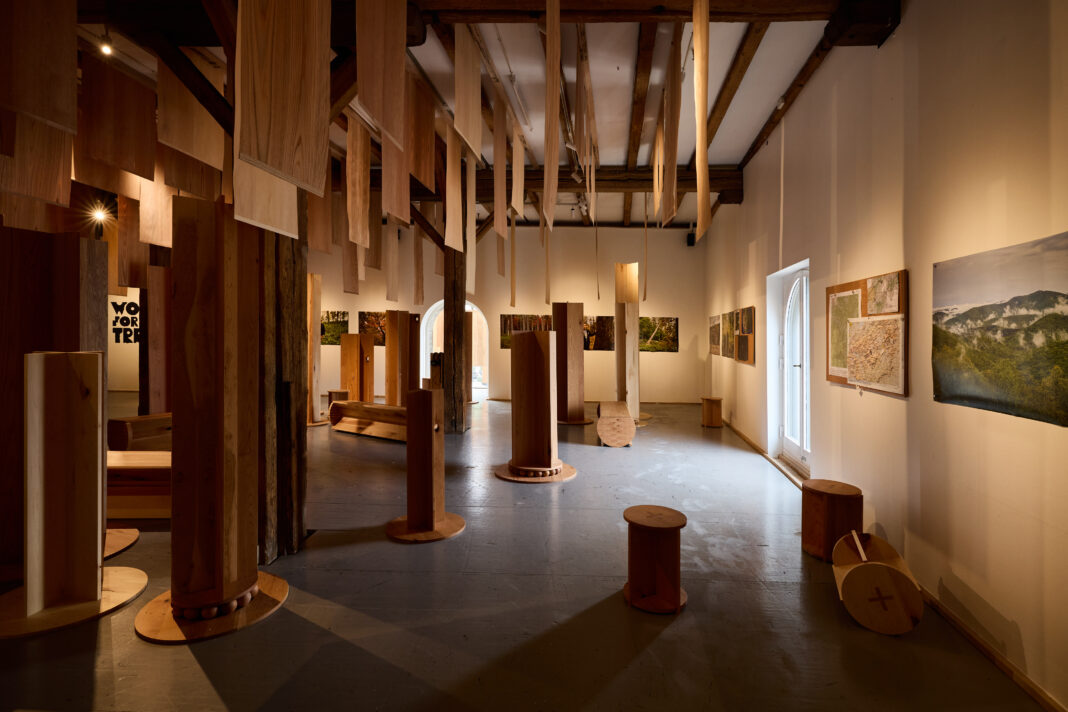 Wood for the Trees_Exhibition @ Material Matters CPH_Photography by Petr Krejčí_1