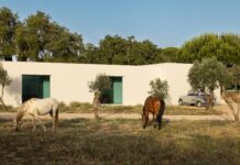 Melides House, rifugio nell’Alentejo firmato Sabrab Architecture
