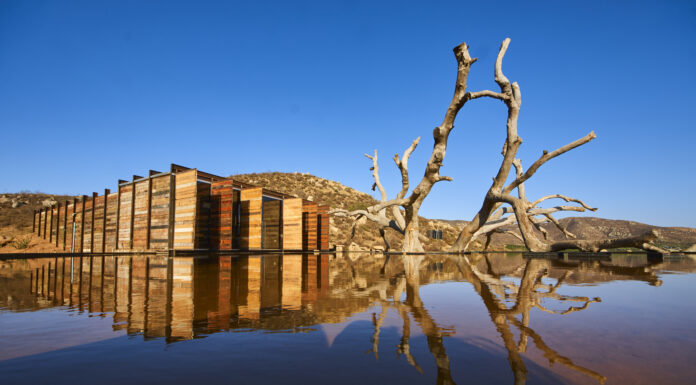 Bruma Winery, Alejandro D’Acosta, Ensenada, Messico