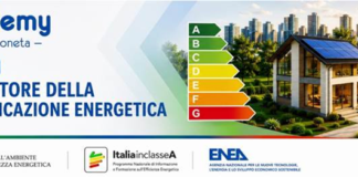 facilitatore enea masterclass