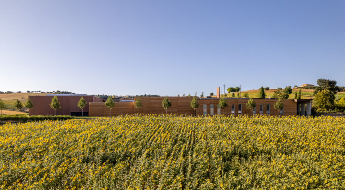 Mancini Pastificio Agricolo, Stefano Boeri Architetti, Monte San Pietrangeli (FM)