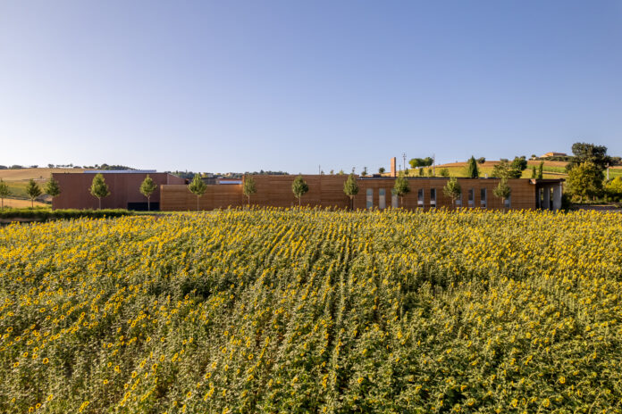 Mancini Pastificio Agricolo_Stefano Boeri Architetti_202507_2