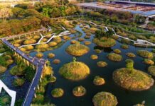 Sponge Cities, Turenscape, Cina, Tailandia