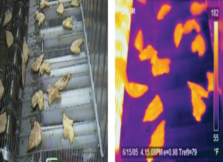 Termocamere nell’industria alimentare