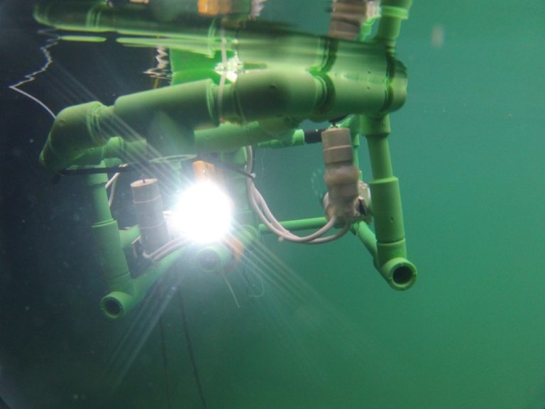 Progettare e costruire un piccolo robot marino