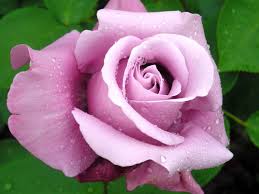 Superfici sempre asciutte