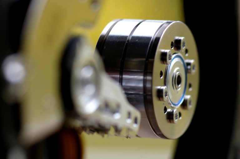 “Servo o non servo? Questo è il problema”