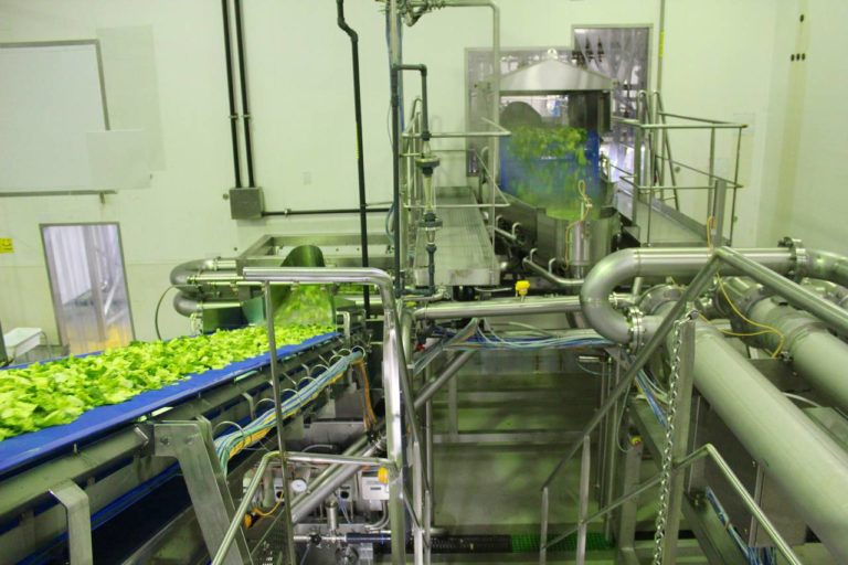 Lavaggio insalata più efficiente sulle linee Turatti gestite con PlantPAx