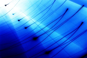 Una trappola per le onde radar