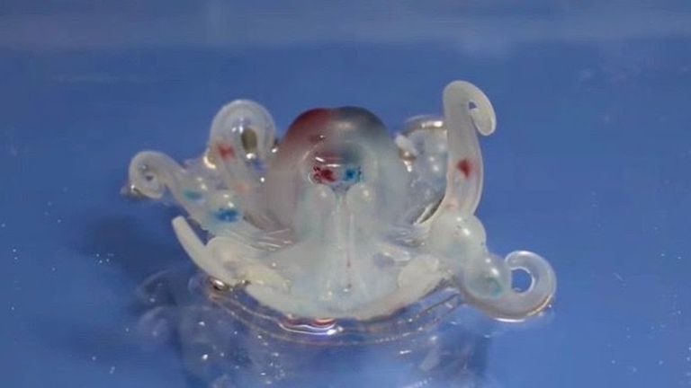 Octobot, il robot stampato in 3D che va a reazioni chimiche