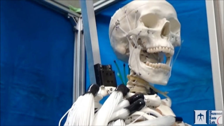 I muscoli artificiali per la robotica