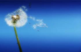 MIT e il dispositivo wireless rileva-emozioni