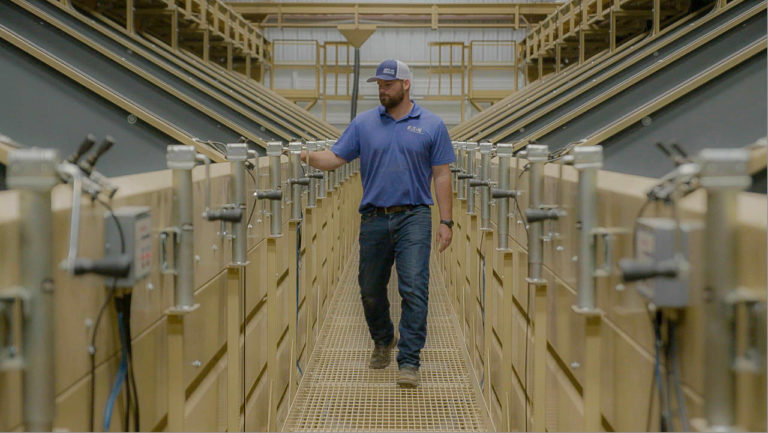 Cablaggio intelligente per la lavorazione delle noci