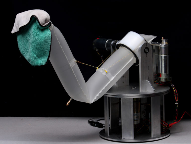 Soft Robotics, nuova frontiera della robotica