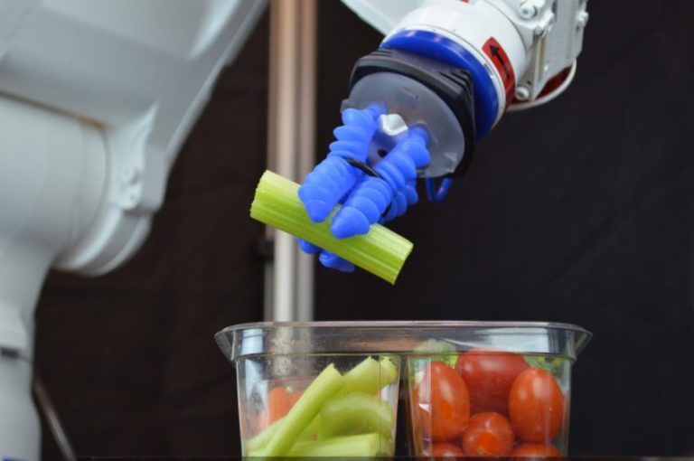 La robotica collaborativa al servizio dell’agroalimentare
