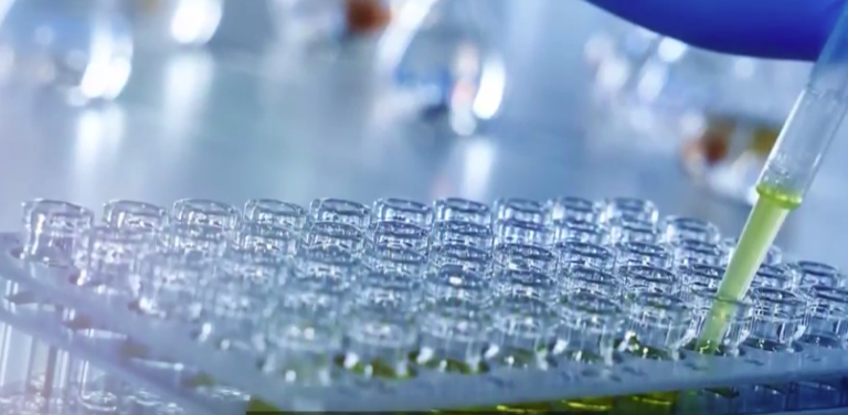 Il valore dei dati nell’industria farmaceutica