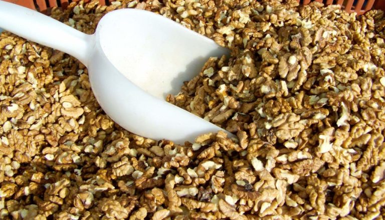 Alimentare: quando l’intelligenza sta in un quadro elettrico