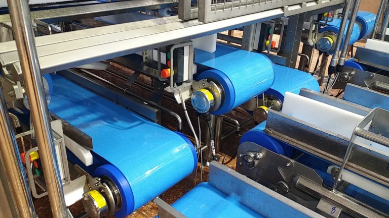 Interroll: soluzioni di motion ad alta igiene per il food processing