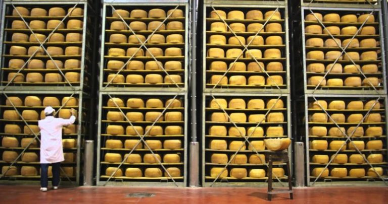 Biraghi sceglie il Cloud di SAP per la gestione aziendale