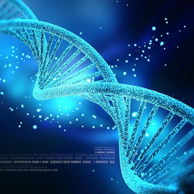 Nanorobotica e DNA-Bots