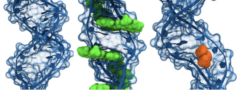 sensori miniaturizzati creati con stampa 3D