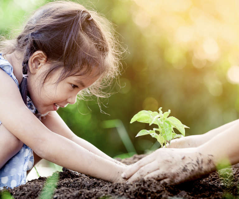 Mitsubishi Electric aderisce al progetto Festa dell'Albero, in collaborazione con Legambiente, a sostegno della campagna nazionale e alla messa a dimora di 300 alberi, traducendo in realtà la salvaguardia dell’ambiente, delle biodiversità locali e la riforestazione urbana