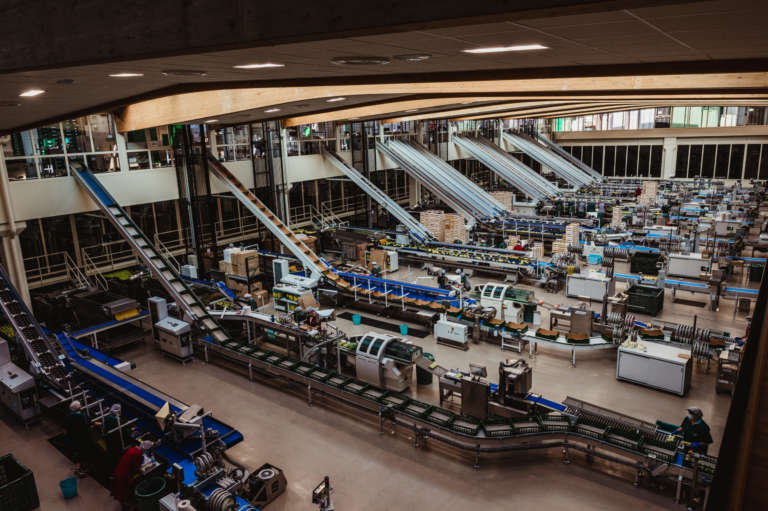 Maggiore produttività nel confezionamento delle mele con l’IoT Ubiquicom