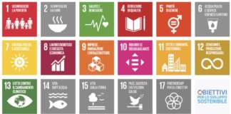 Sviluppare software sostenibile