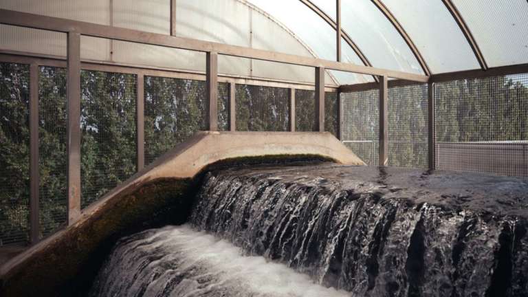 Quando il digitale dimezza le perdite d’acqua. L’esempio di Padania Acque