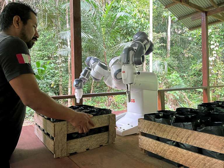 Robot e cloud per la riforestazione dell’Amazzonia