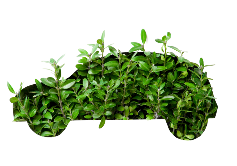 Mobilità sostenibile: i primi bandi a cascata promossi dal Politecnico di Torino