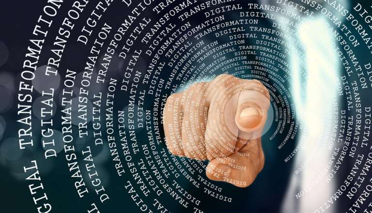 La tracciabilità supporta la supply chain del cotone