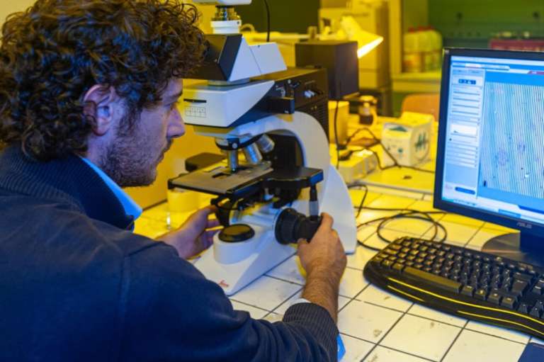 progetti PNRR università di pisa