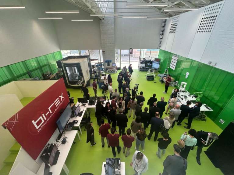 Linea pilota bi rex 2024