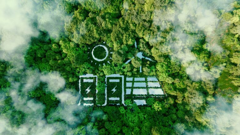 risorse PNRR novembre 2024