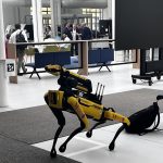 made post event article DEMo experience giugno 2025