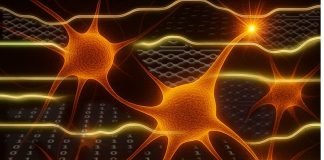 Reti Neurali_Morichetti POLIMI_chip fotonico.01