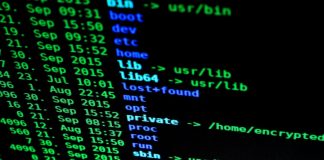 L’Italia e la sua sfida cyber: parte il Piano per l’industria cyber nazionale