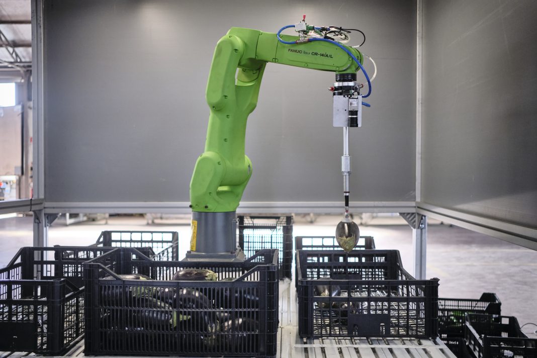 Robotica e IA per l’agroalimentare