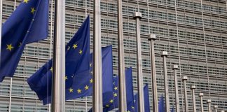 transizione 40 e PNRR