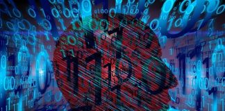 filiera italiana del software