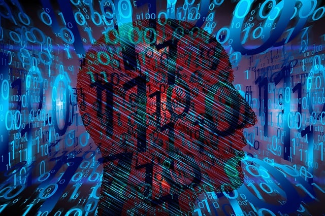 filiera italiana del software