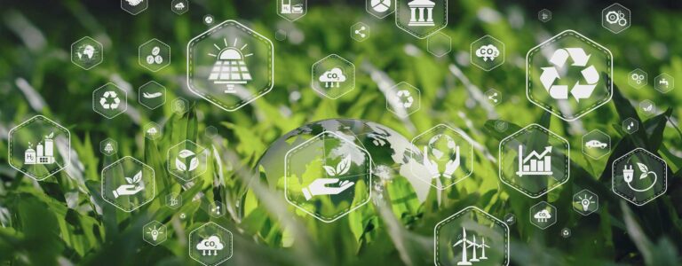 competenze-e-formazione bandi transizione digitle