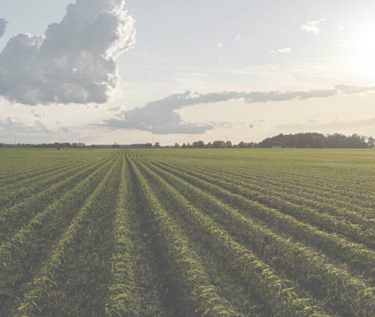 osservatorio-agrifood-40