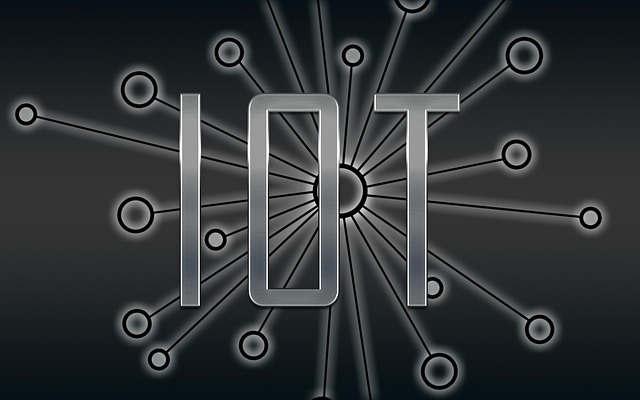 Mercato IoT in Italia Polimi