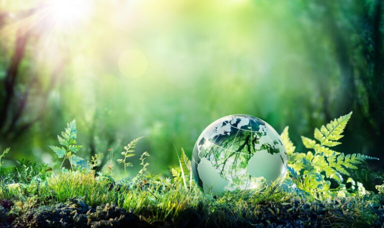 Investimenti green e competitività: il contributo dell’automazione