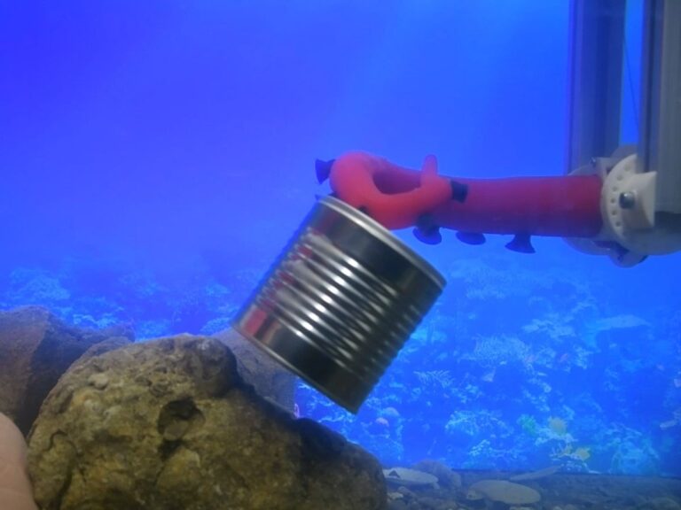 Soft robotics: dall’oceano il braccio robotico che si ispira al polpo