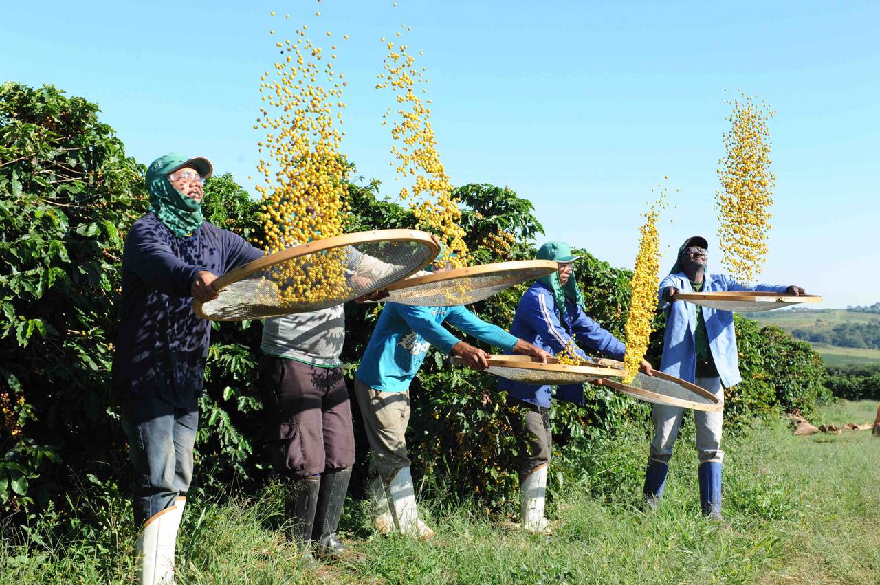 Barista & Farmer_O'Coffee