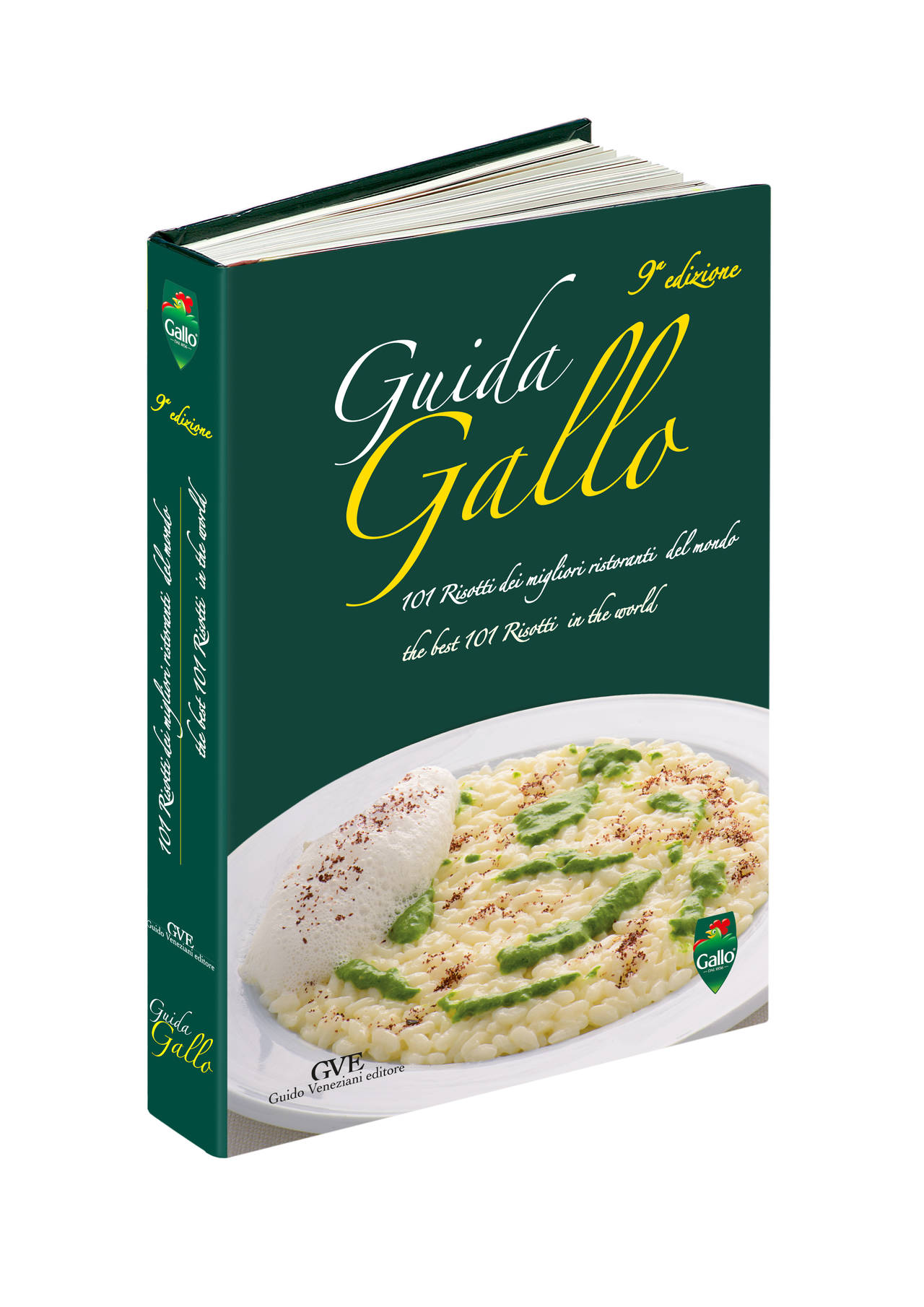 guidagallo_2013 copia
