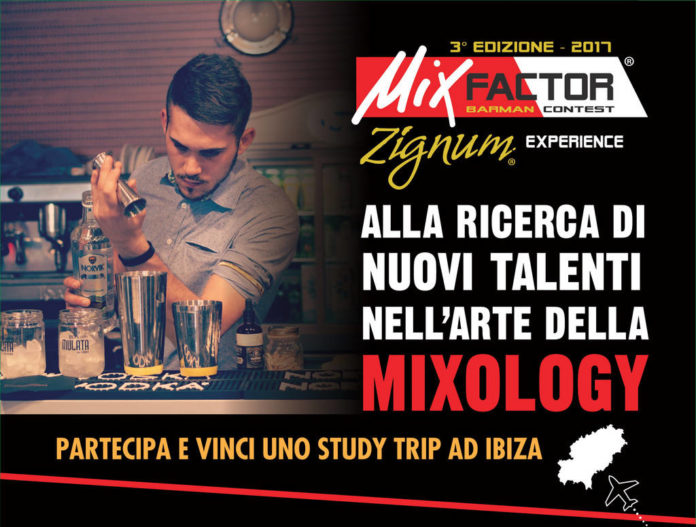 Mixfactor 2017_tn